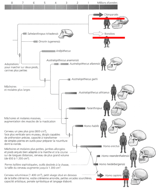 Reponse 1