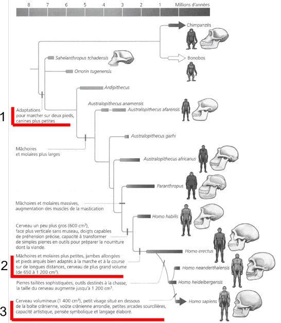 reponse 3