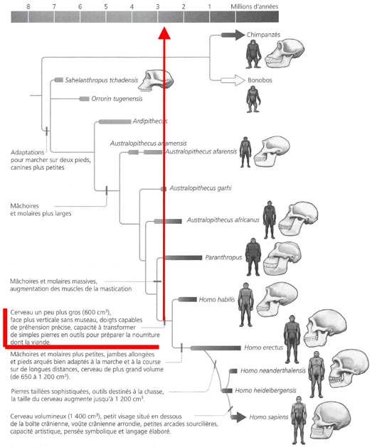 reponse 4
